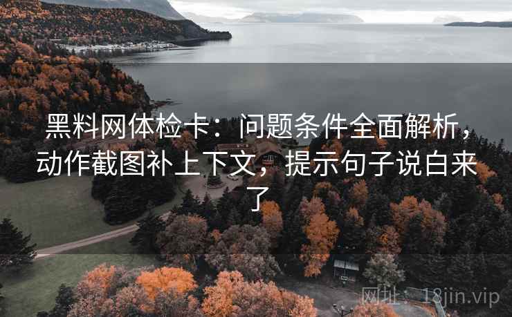 黑料网体检卡：问题条件全面解析，动作截图补上下文，提示句子说白来了