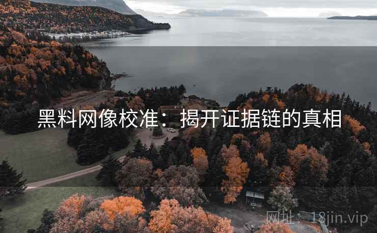 黑料网像校准:揭开证据链的真相